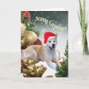 Zoek naar akita kaarten Kerstmis