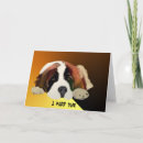 Zoek naar st bernard kaarten Schattige hond
