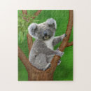 Zoek naar koala puzzels Baby