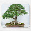 Zoek naar bonsai muismatten Boom