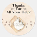 Zoek naar dozen stickers Kat