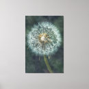 Zoek naar paardebloemen kunst Voor iedereen
