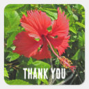 Zoek naar appreciatie stickers Groen