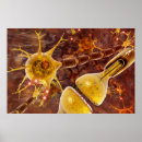 Zoek naar typisch posters Elk persoon