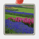 Zoek naar tulp ornamenten Landschap