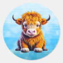 Zoek naar hoogland koeien stickers Baby koe