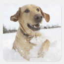 Zoek naar temperatuur stickers Lopen