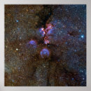 Zoek naar katten afbeeldingen posters Voor iedereen