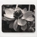 Zoek naar photography muismatten Botanisch