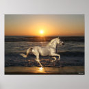 Zoek naar ras paarden posters Rennen