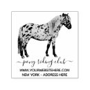 Zoek naar poney meer Paard