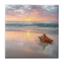 Zoek naar shell tegels Zeeschok