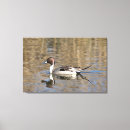 Zoek naar watervogels kunst Moeras