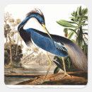 Zoek naar reiger stickers Vogel