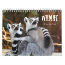 Zoek naar wild kalenders Wilde dieren