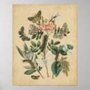 Zoek naar insecten kunst Bloemen