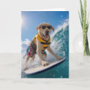 Zoek naar surfen kaarten Elk persoon
