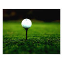 Zoek naar golfbal posters Gras