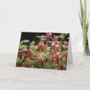 Zoek naar bloemen druk kaarten Natuur