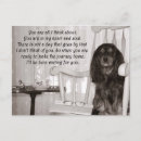 Zoek naar cavalier briefkaarten Dier