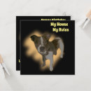 Zoek naar stamboom kaarten Waterverf