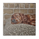 Zoek naar iers tegels Rood