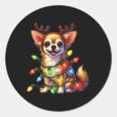 Zoek naar huisdier stickers Winter