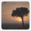 Zoek naar boom silhouet stickers Idyllisch