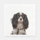 Zoek naar spaniel servetten Gezelschapsdieren