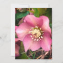 Zoek naar hellebore posters Bloem