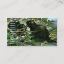 Zoek naar bever visitekaartjes Illustratie
