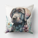 Zoek naar labrador retriever kussens Huisdieren