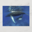 Zoek naar gewervelde dieren posters Zoogdier