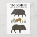 Zoek naar woestijn briefkaarten Modern