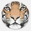 Zoek naar tijger gezicht stickers Natuur
