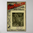 Zoek naar ornithologie posters Antiek