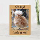 Zoek naar grappige kapper kaarten Barber