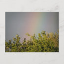 Zoek naar regenboog boom briefkaarten Landschap