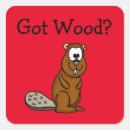 Zoek naar grappige bever stickers Hout