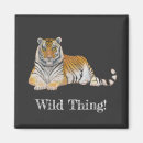 Zoek naar tijger magneten Dier