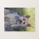 Zoek naar yorkie puzzels Doodsbang