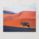 Zoek naar namib posters Oryx