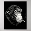 Zoek naar grappige chimpansee posters Vintage