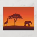 Zoek naar afrikaanse dieren briefkaarten Boom