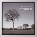 Zoek naar gedicht over bomen geschenken Fotografie