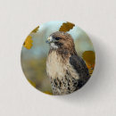 Zoek naar roofvogel buttons Wilde dieren