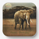 Zoek naar india borden Afrika