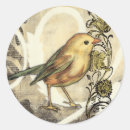 Zoek naar gele vogel stickers Dier