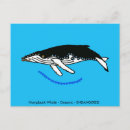 Zoek naar walvis briefkaarten Voor iedereen