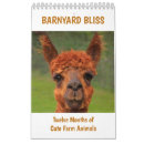 Zoek naar lama kalenders Schapen